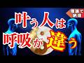 【保存版】人生が変わる達人の呼吸|小周天と大周天で陰陽のリズムを刻む秘儀