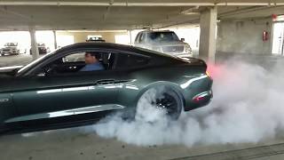 2017 Mustang GT Sick Burnout \\