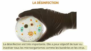 Nettoyage et désinfection d'un bâtiment d'élevage avicole à Mayotte