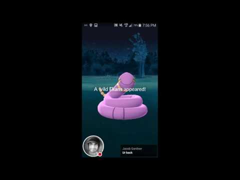 Pokemon Go Live with Lui Calibre