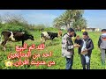 لقد تم البيع احد من المتابعين من مدينه افران 0661282165 كل عام وأنتم بخير