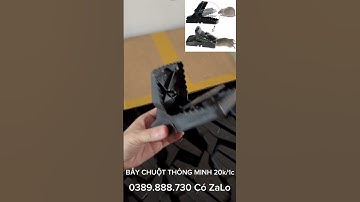 Bẫy chuột thông minh liệu có hiệu quả , Có nên mua không? Bẫy chuột ,bẫy sóc quá đơn giản #bẫychuột