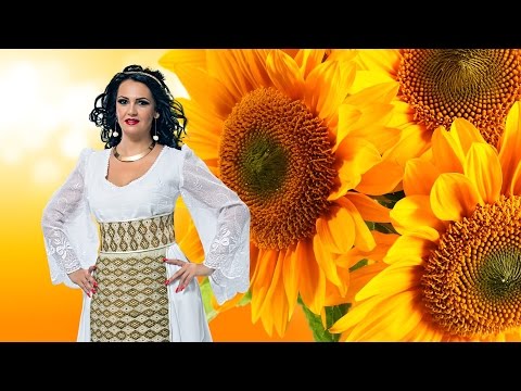 ALINA SANDULESCU - NICIODATA N-AI CAND DAI | OFFICIAL TRACK