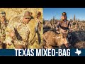 Mountain Lion, Elk & Mule Deer Hunting in Texas