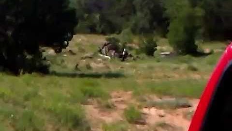 Little Boom 1/4 lb Tannerite Exploding Target