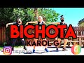 BICHOTA - KAROL G - Lucía Guerra / ZUMBA / Coreografía