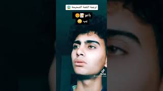 ترجمه اغنيه باعو شركه بوبجي