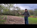 Most OVERLOOKED Factor in Gardening | Walk with Danny | Tour Deep South