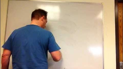 Interference_Biol420