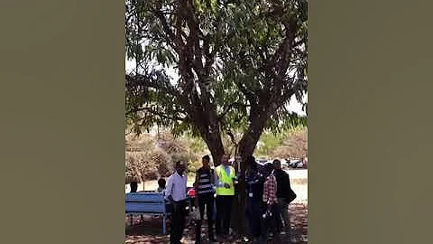 TOPCON Hiper HR, very powerful and consistent of tracking satellites