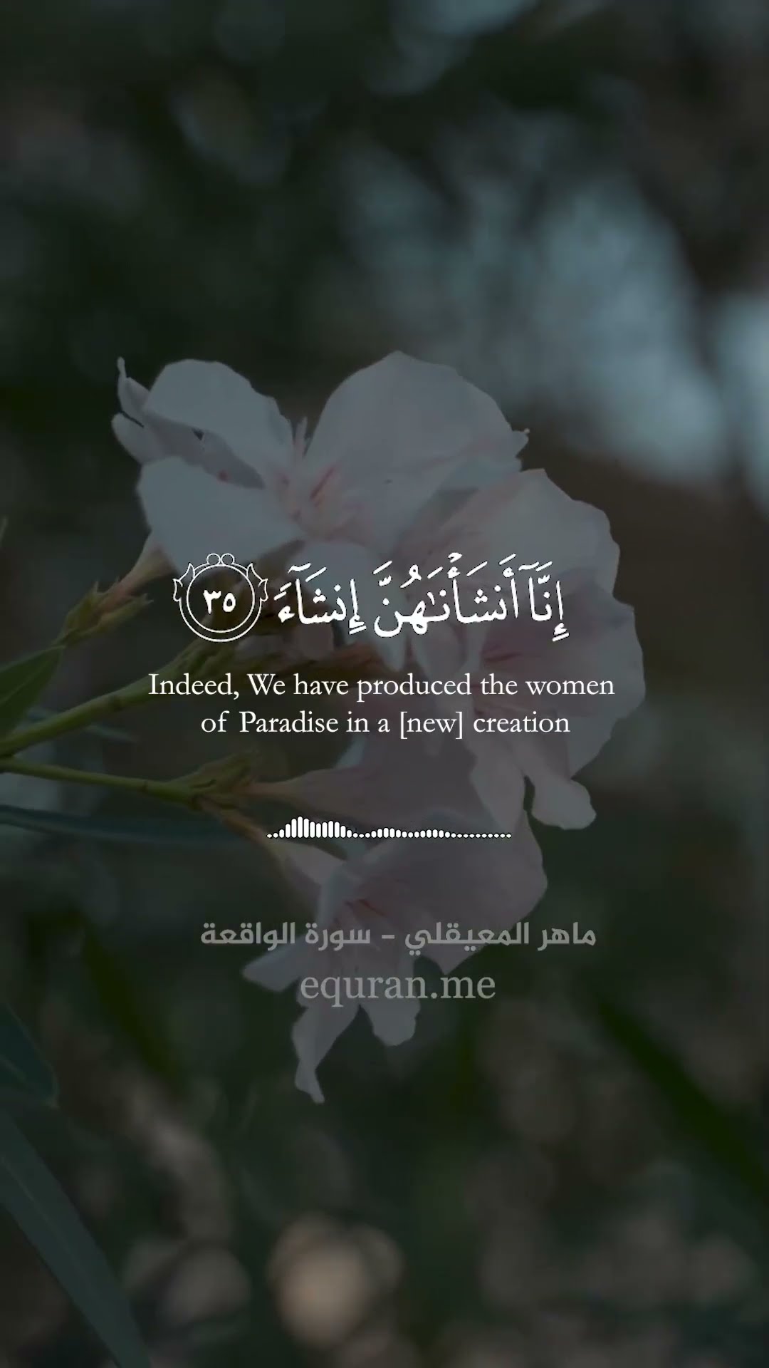 وأصحاب اليمين ما أصحاب اليمين تلاوة جميلة من سورة الواقعة الشيخ ماهر المعيقلي