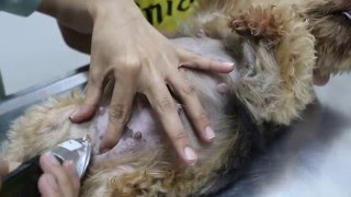 Plan ahead for speedy Caesarean section Pt 2