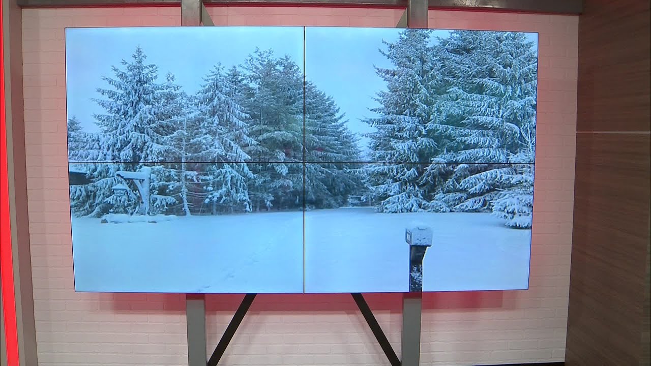 How much snow did we get? YouTube