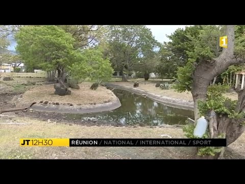 Vidéo: Description et photos des jardins municipaux et du zoo - Chypre: Limassol