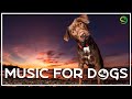 Calming Dog Music Therapy  | Soothing Music for Dogs to Calm Down, Relax &amp; Sleep | Dog Calming Aid