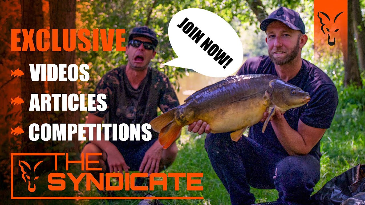 CARP FISHING TV *** THE SYNDICATE - MaxresDefault CARP FISHING TV *** THE SYNDICATE - MaxresDefault