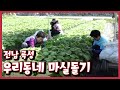 [남도지오그래피] 우리동네 마실돌기, 전남 곡성｜KBS 210622 방송