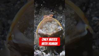 4 WEIRDEST Ways Animals REPRODUCE. 😱 #animals #wildlife #shorts #facts