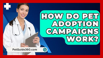 How Do Pet Adoption Campaigns Work? - PetGuide360.com