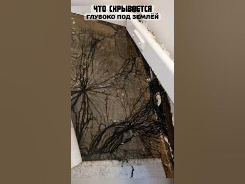 Что таилось под частным домом - YouTube