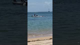 Bangkai PAUS di Pantai Sanur Bali