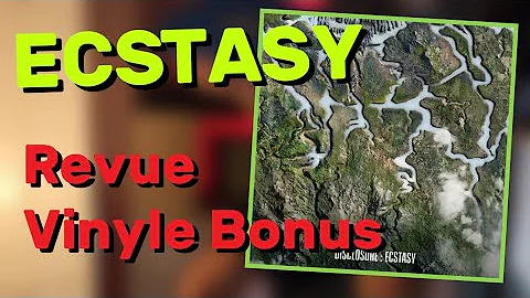 Ecstasy ( Disclosure ) - Revue Vinyle Bonus