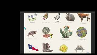 Charlotte Mason Inspired Scavenger Hunts for Nature Study