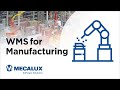 WMS for Manufacturing ​- Easy WMS