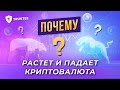 Почему растет или падает Криптовалюта | Рост и Падение Биткоина