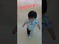 《1歳1ヶ月》お掃除ロボット　うさぎじゃないよ…#日常#成長#子供#1歳児 #shortvideo#癒し#癒し#あかちゃんのいる生活#ショート#育児#short#shorts#赤ちゃん#親子#成長記録