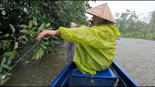 1241 / Đi giăng lưới lúc trời mưa lớn