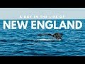 A day in the life of the new england coast