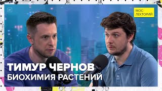 Биохимия растений | Тимур Чернов Лекция 2024 | Мослекторий