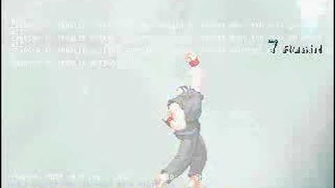 Holy Ryu Vs Lord Ryu (Mugen)