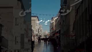 یا علی نام تو بردم نه غمی ماند و نه همی - استاد شهریار