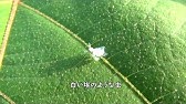 蛾の幼虫 白いふわふわの毛虫 Youtube