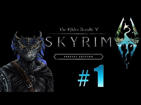 The Elder Scrolls V: Skyrim (видео)