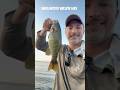 Smallmouth on Wilson lake Al