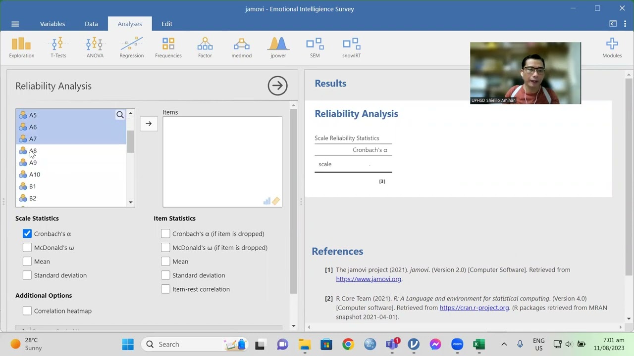 Performing Reliability Analysis using Jamovi