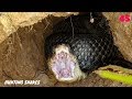 DIG A CAVE TO CATCH SNAKES EPISODE 45: GIANT SNAKE| Hunting Snakes