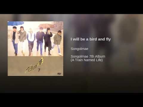 ArtTrack 송골매 새가 되어 날으리