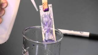 PlantEd Digital Learning Library - Gram Stain Procedure