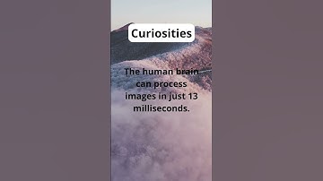 The human brain can process images in just 13 milliseconds. We are really fast! ⚡