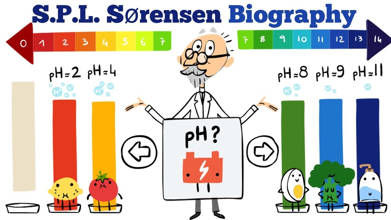 SPL Srensen celebrated by Google Doodle  who was the chemist and when was ...