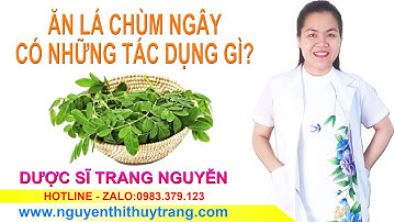 Tìm hiểu cây chùm ngây là gì? Tác dụng lá chùm ngây