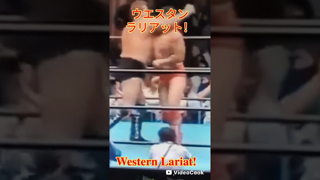 【１分プロレス】Worldwide view！今日は、これ見なきゃね！ハンセン最高🐇💯💯💯#プロレス #1分プロレス #ハンセン#shorts #short