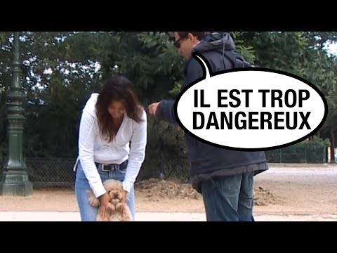 BAN SMALL DOGS