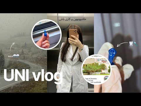 UNI Vlog On A Rainy Day Carving Eng Kurd Subtitle زانکۆ Universe Rainyday