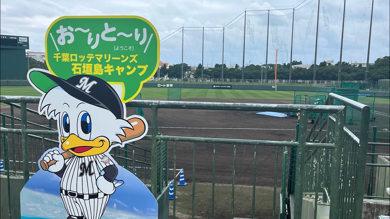 【バレンタインデー企画💘千葉ロッテマリーンズ⚾️】ルーキー櫻井ユウヤ選手を中心に石垣島キャンプ＂まさかのにわかファン爆誕⁉️＂