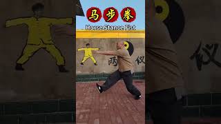 🔥 Horse Stance Fist (Two-Element Boxing)#MartialArts #KungFu #HorseStance #InternalTraining